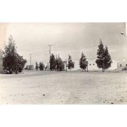 Rare collectable postcards of TUNISIA. Vintage Postcards of TUNISIA