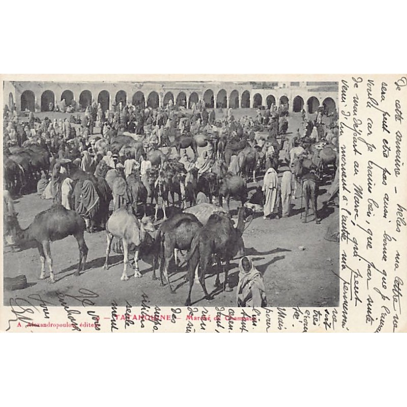 Rare collectable postcards of TUNISIA. Vintage Postcards of TUNISIA