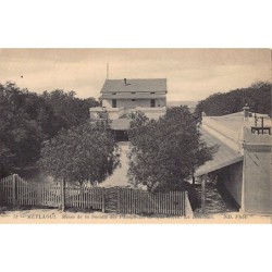 Rare collectable postcards of TUNISIA. Vintage Postcards of TUNISIA