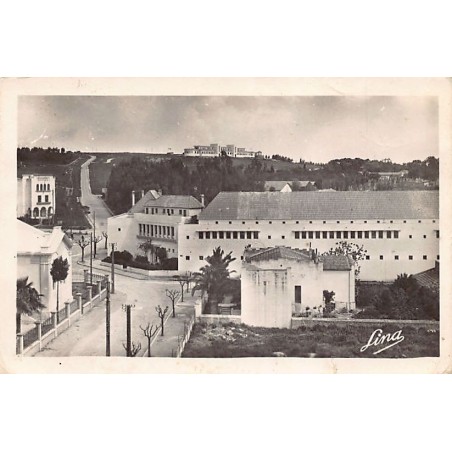 Rare collectable postcards of TUNISIA. Vintage Postcards of TUNISIA