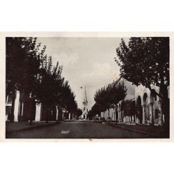 Rare collectable postcards of TUNISIA. Vintage Postcards of TUNISIA