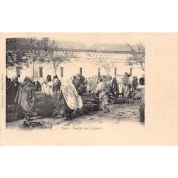 Rare collectable postcards of TUNISIA. Vintage Postcards of TUNISIA