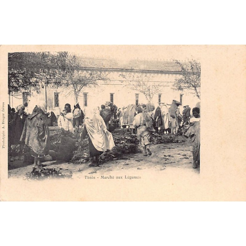 Rare collectable postcards of TUNISIA. Vintage Postcards of TUNISIA