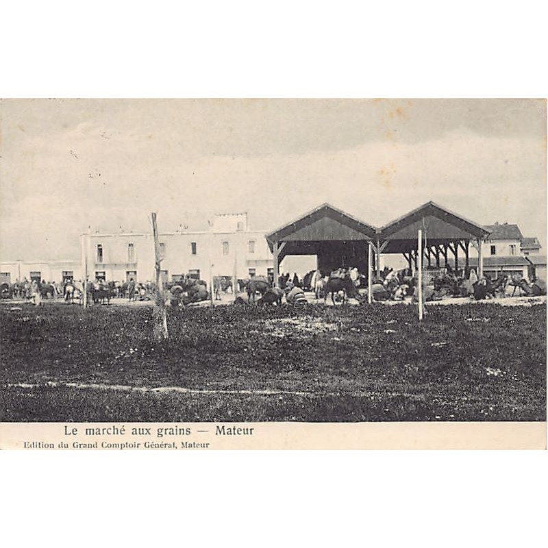 Rare collectable postcards of TUNISIA. Vintage Postcards of TUNISIA