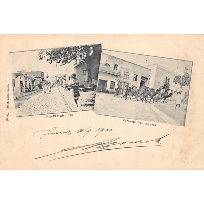 Rare collectable postcards of TUNISIA. Vintage Postcards of TUNISIA