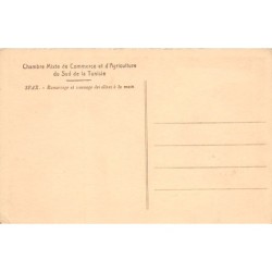 Rare collectable postcards of TUNISIA. Vintage Postcards of TUNISIA