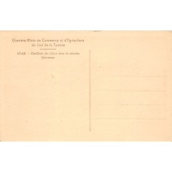 Rare collectable postcards of TUNISIA. Vintage Postcards of TUNISIA