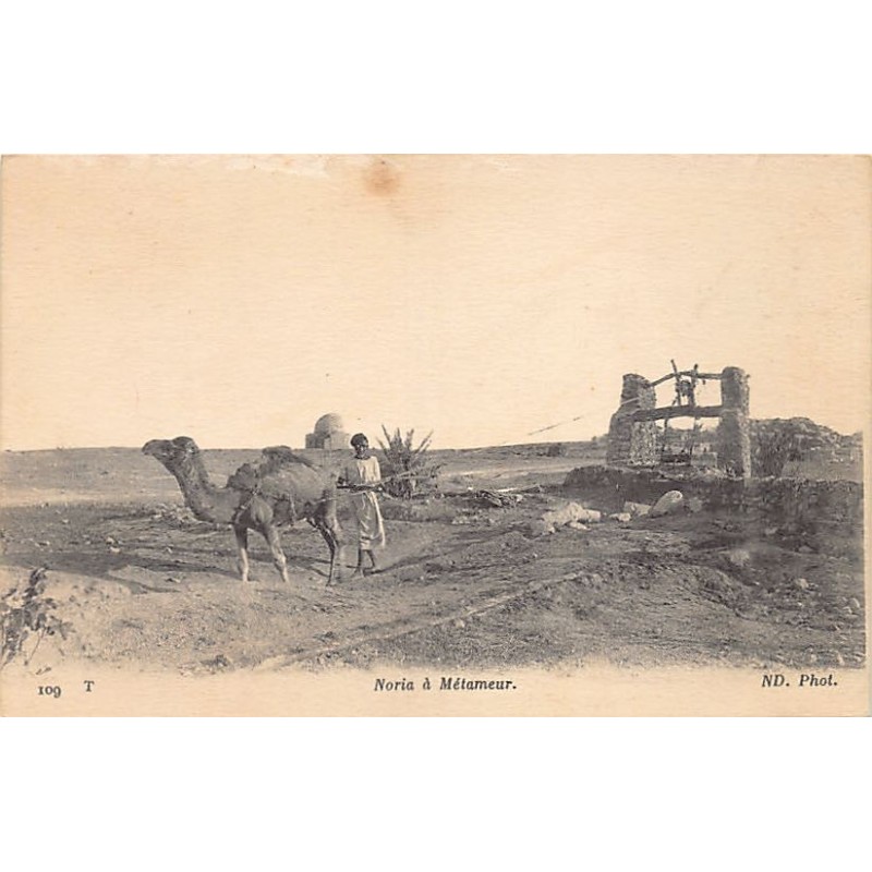 Rare collectable postcards of TUNISIA. Vintage Postcards of TUNISIA