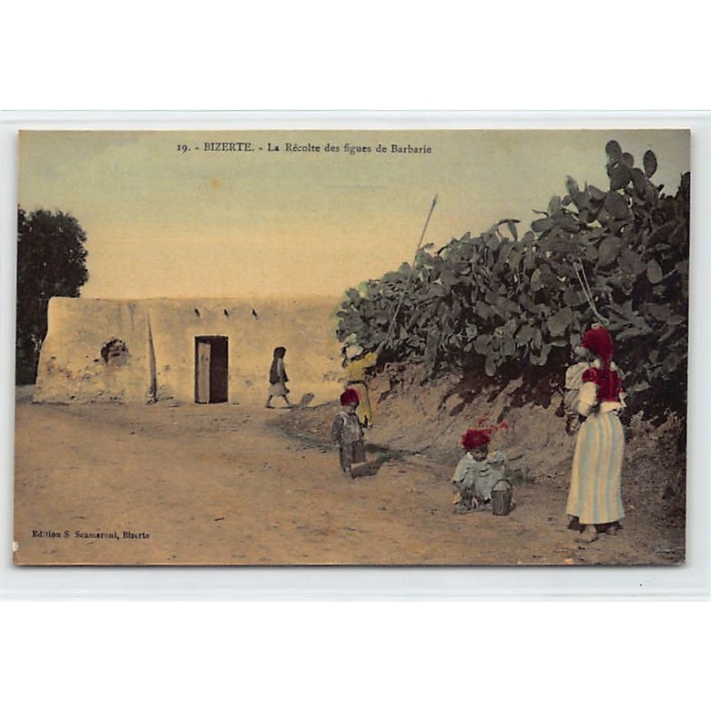 Rare collectable postcards of TUNISIA. Vintage Postcards of TUNISIA