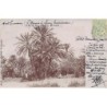 Rare collectable postcards of TUNISIA. Vintage Postcards of TUNISIA