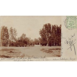 Rare collectable postcards of TUNISIA. Vintage Postcards of TUNISIA