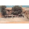Rare collectable postcards of TUNISIA. Vintage Postcards of TUNISIA