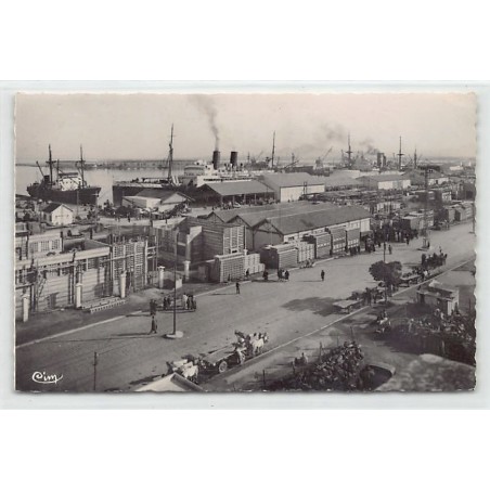 Rare collectable postcards of TUNISIA. Vintage Postcards of TUNISIA