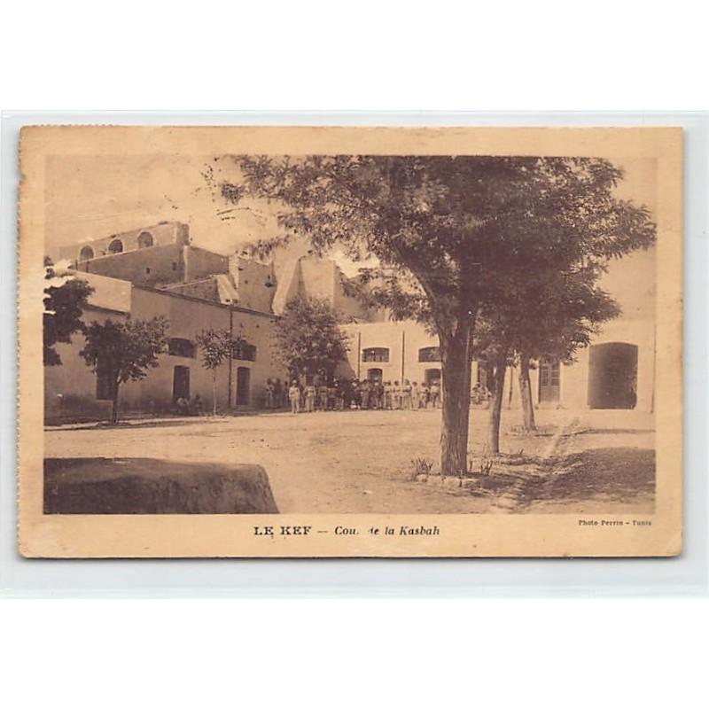 Rare collectable postcards of TUNISIA. Vintage Postcards of TUNISIA