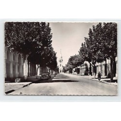 Rare collectable postcards of TUNISIA. Vintage Postcards of TUNISIA