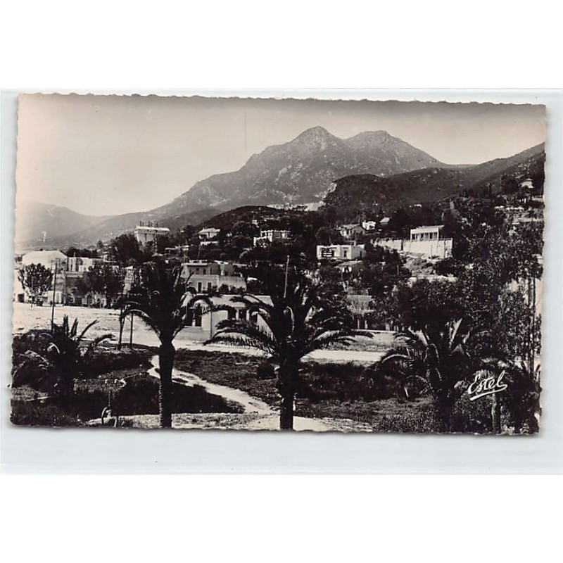 Rare collectable postcards of TUNISIA. Vintage Postcards of TUNISIA