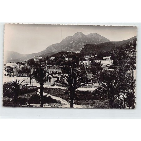Rare collectable postcards of TUNISIA. Vintage Postcards of TUNISIA