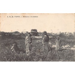 Rare collectable postcards of TUNISIA. Vintage Postcards of TUNISIA