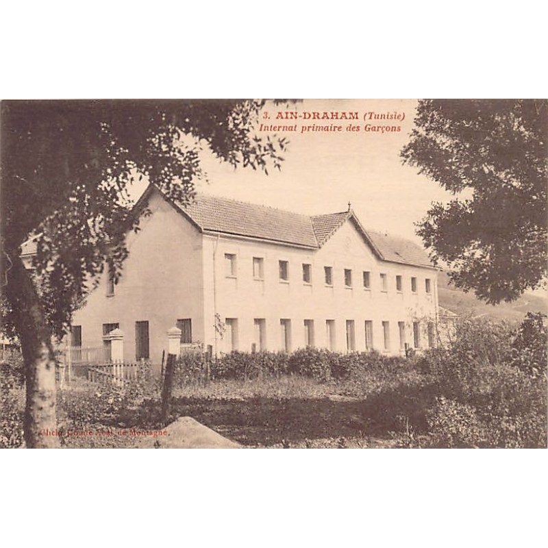 Rare collectable postcards of TUNISIA. Vintage Postcards of TUNISIA