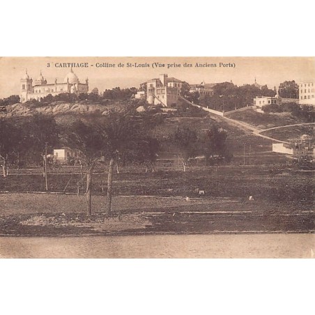 Rare collectable postcards of TUNISIA. Vintage Postcards of TUNISIA