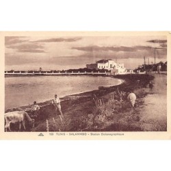 Rare collectable postcards of TUNISIA. Vintage Postcards of TUNISIA