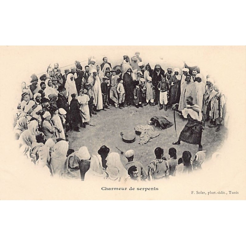 Rare collectable postcards of TUNISIA. Vintage Postcards of TUNISIA