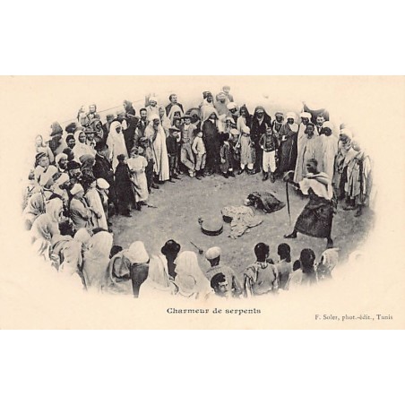 Rare collectable postcards of TUNISIA. Vintage Postcards of TUNISIA