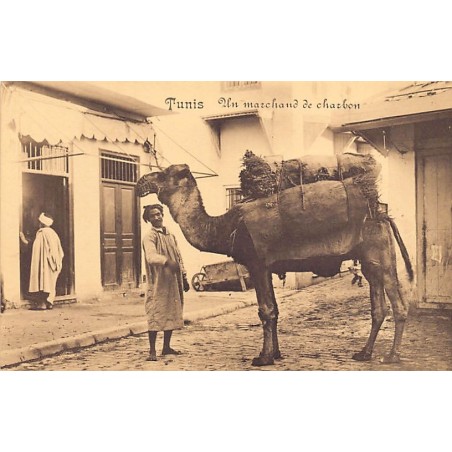 Rare collectable postcards of TUNISIA. Vintage Postcards of TUNISIA