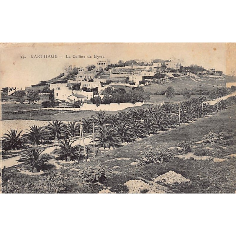 Rare collectable postcards of TUNISIA. Vintage Postcards of TUNISIA