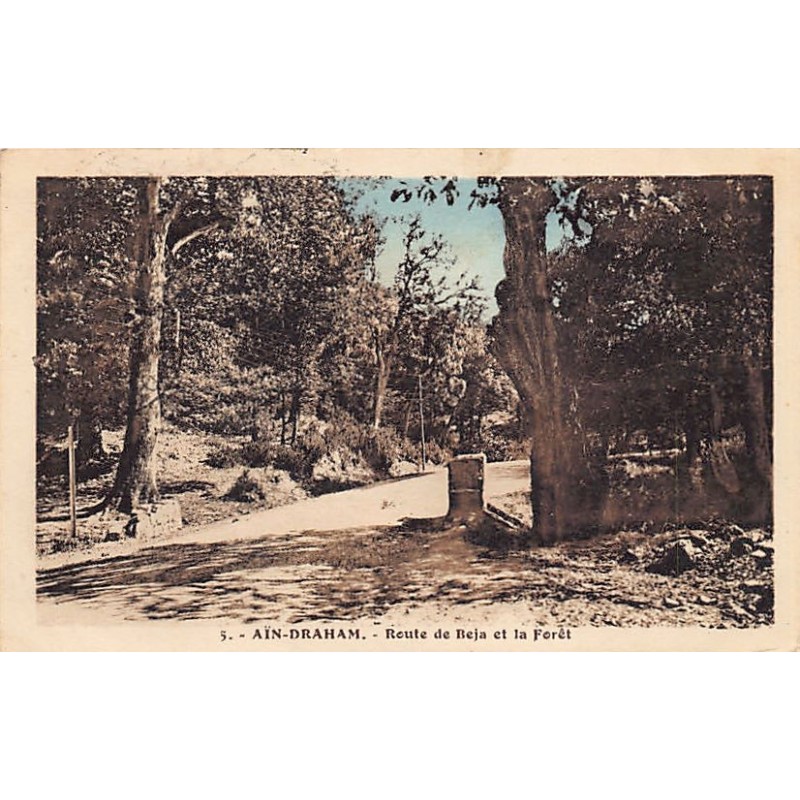 Rare collectable postcards of TUNISIA. Vintage Postcards of TUNISIA