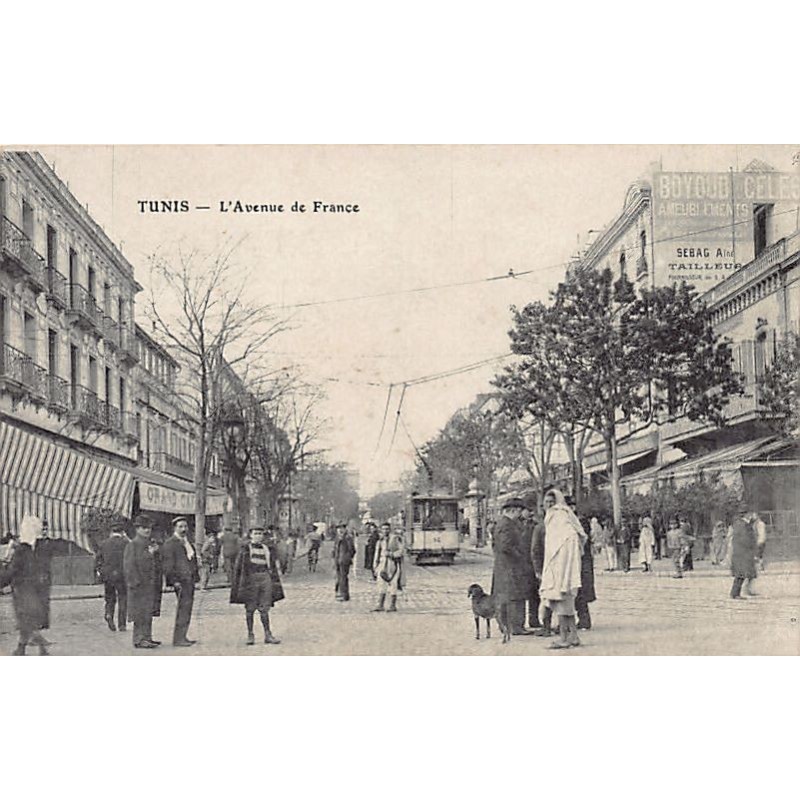Rare collectable postcards of TUNISIA. Vintage Postcards of TUNISIA