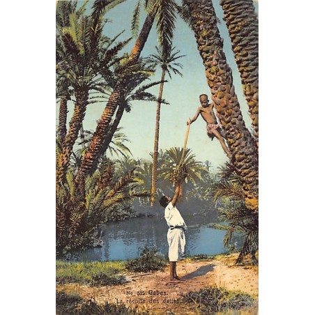 Rare collectable postcards of TUNISIA. Vintage Postcards of TUNISIA