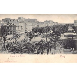 Rare collectable postcards of TUNISIA. Vintage Postcards of TUNISIA