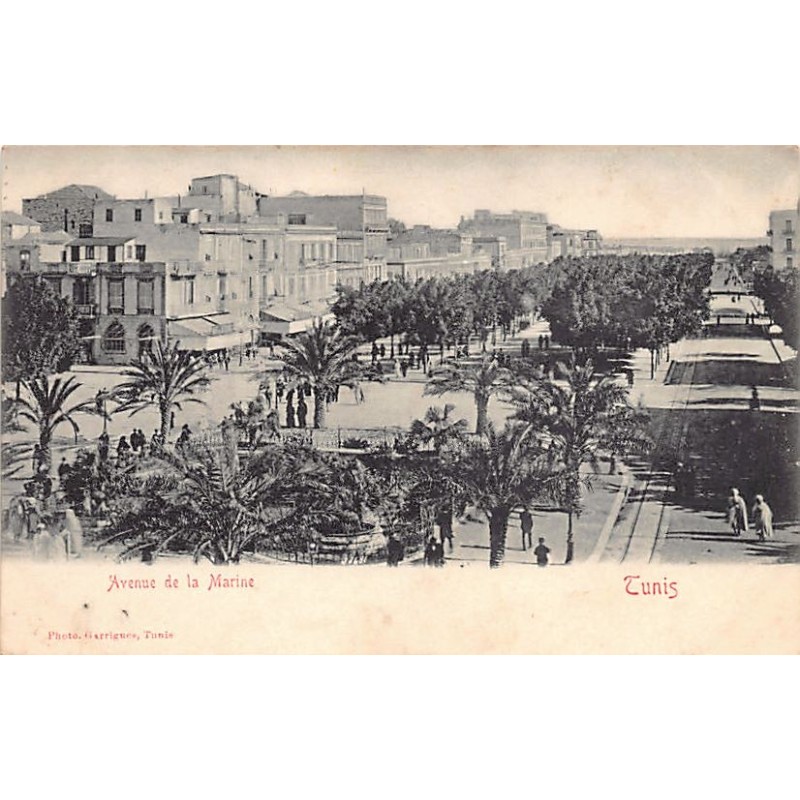 Rare collectable postcards of TUNISIA. Vintage Postcards of TUNISIA