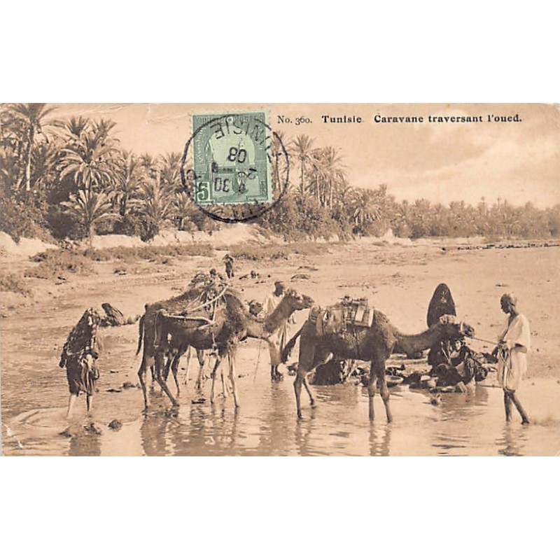Rare collectable postcards of TUNISIA. Vintage Postcards of TUNISIA