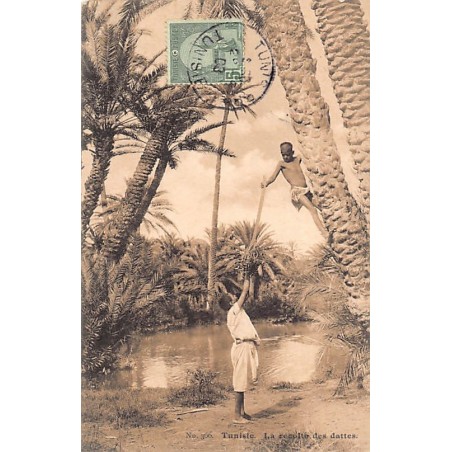Rare collectable postcards of TUNISIA. Vintage Postcards of TUNISIA