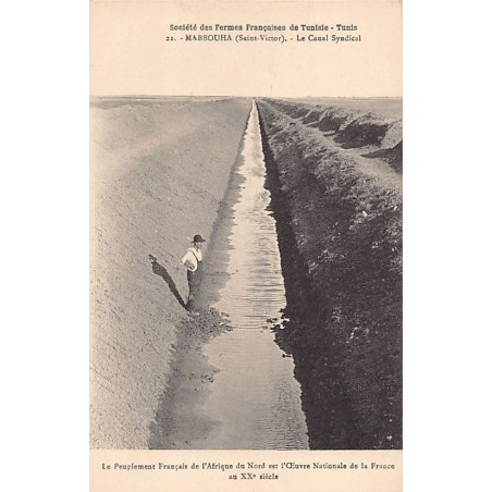 Rare collectable postcards of TUNISIA. Vintage Postcards of TUNISIA