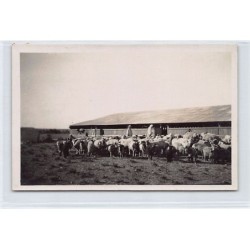 Rare collectable postcards of TUNISIA. Vintage Postcards of TUNISIA