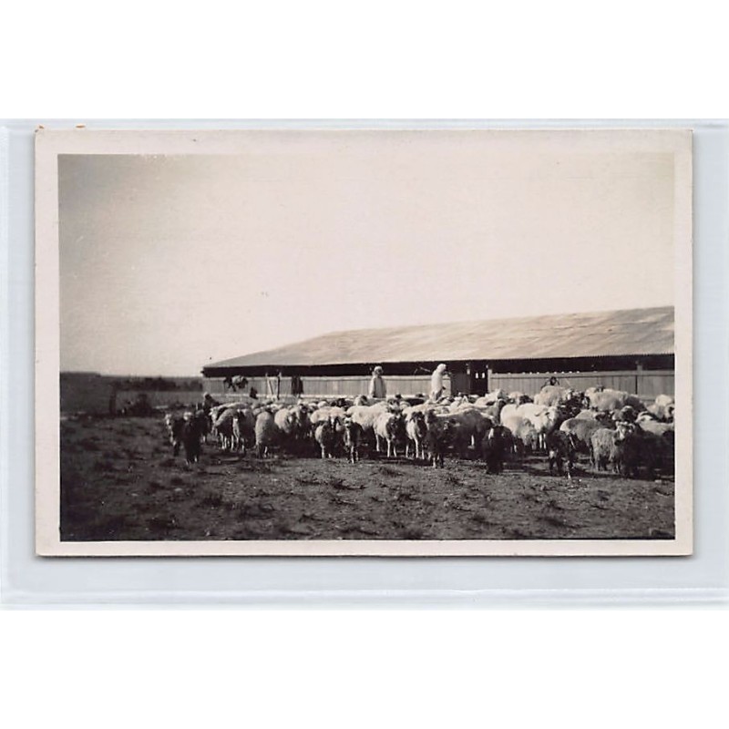 Rare collectable postcards of TUNISIA. Vintage Postcards of TUNISIA