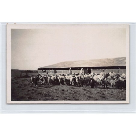 Rare collectable postcards of TUNISIA. Vintage Postcards of TUNISIA