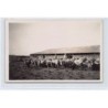 Rare collectable postcards of TUNISIA. Vintage Postcards of TUNISIA