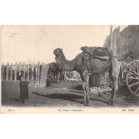 Rare collectable postcards of TUNISIA. Vintage Postcards of TUNISIA