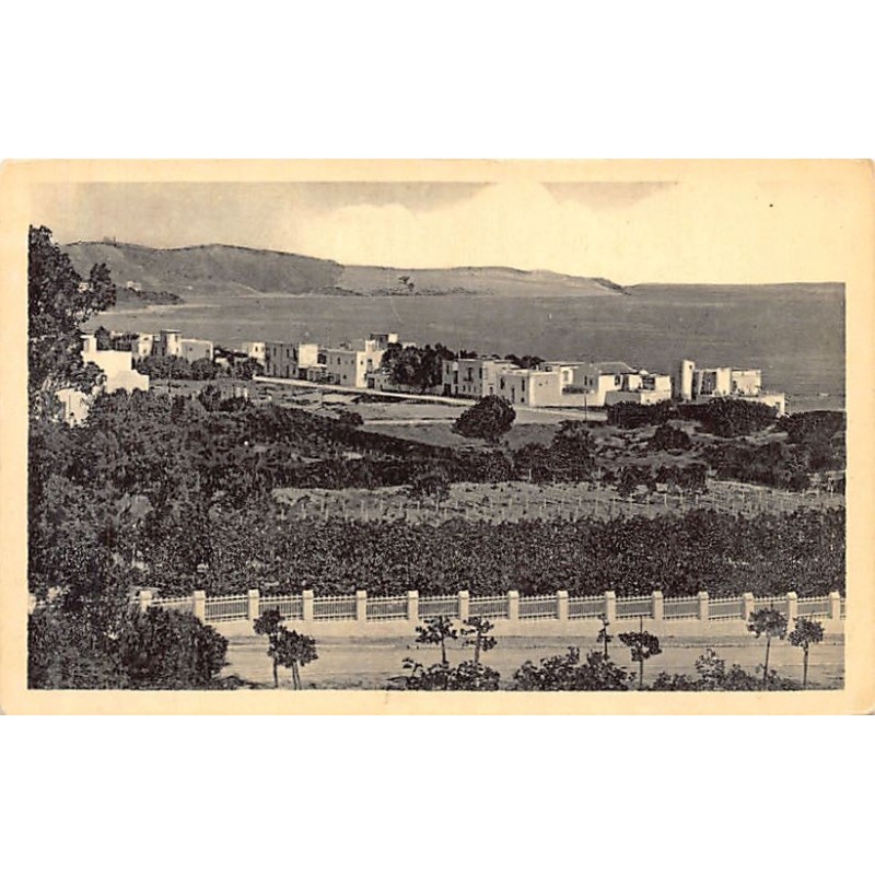Rare collectable postcards of TUNISIA. Vintage Postcards of TUNISIA