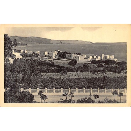 Rare collectable postcards of TUNISIA. Vintage Postcards of TUNISIA