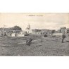 Rare collectable postcards of TUNISIA. Vintage Postcards of TUNISIA