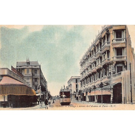 Rare collectable postcards of TUNISIA. Vintage Postcards of TUNISIA
