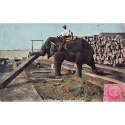 Rare collectable postcards of INDIA. Vintage Postcards of INDIA