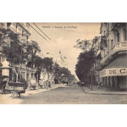 Rare collectable postcards of TUNISIA. Vintage Postcards of TUNISIA