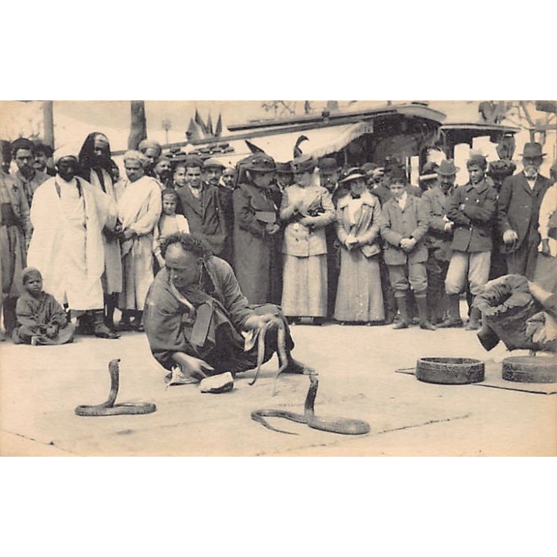 Rare collectable postcards of TUNISIA. Vintage Postcards of TUNISIA