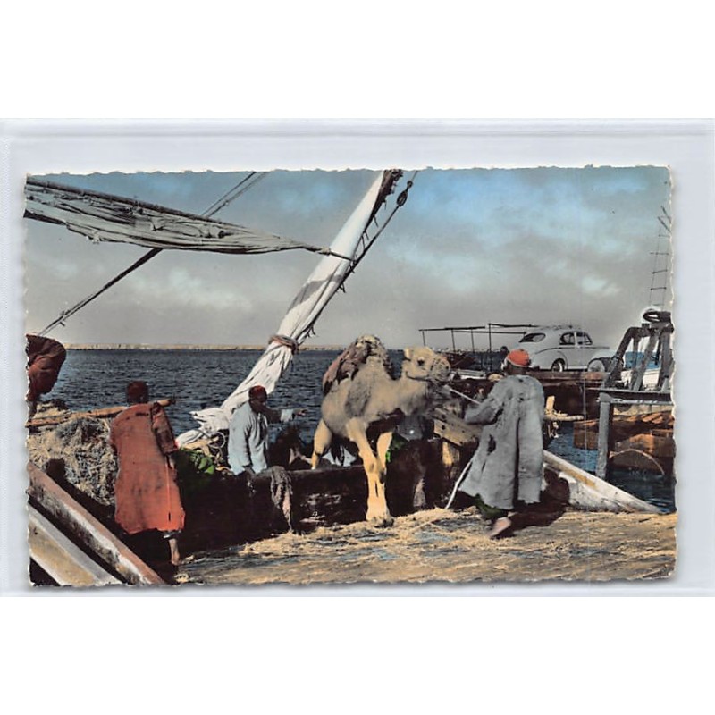 Rare collectable postcards of TUNISIA. Vintage Postcards of TUNISIA